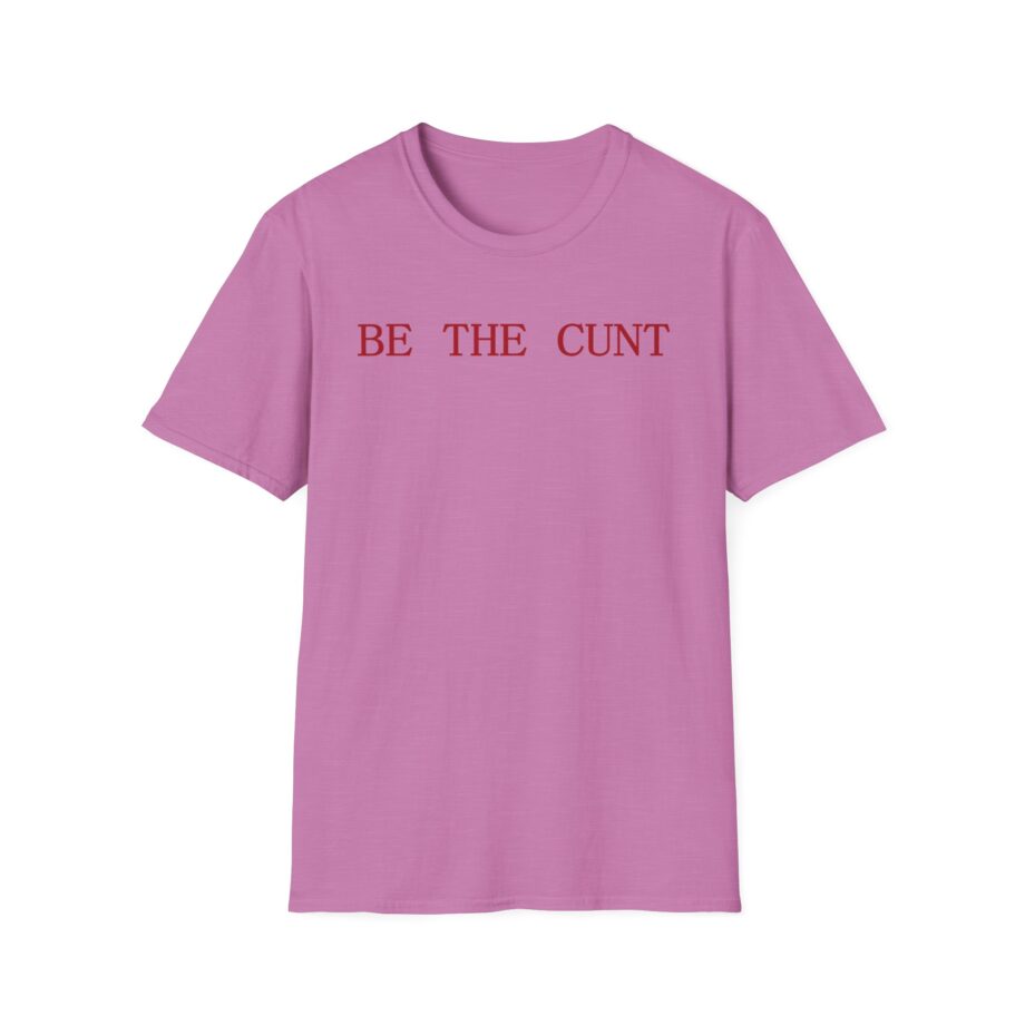 Haim Unisex Softstyle T-shirt